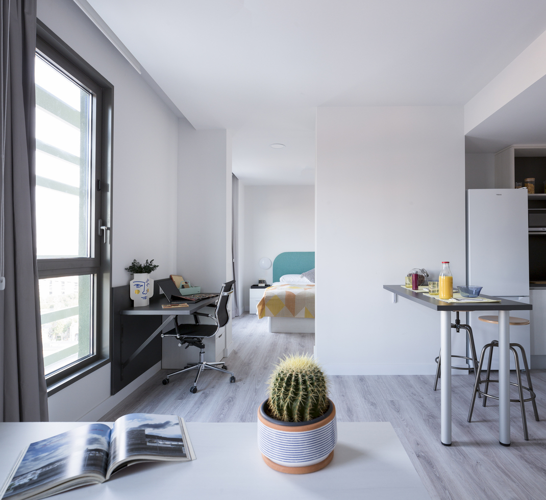 Residencia Universitaria Aleu_Estudio Premium